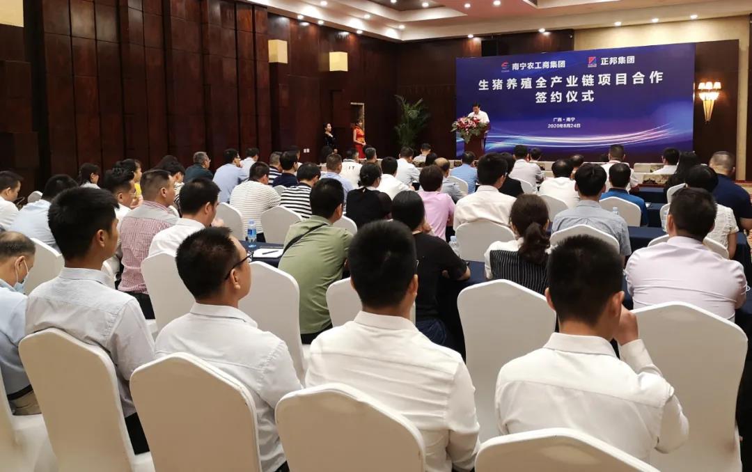 1598407112735513.jpg y01.jpg