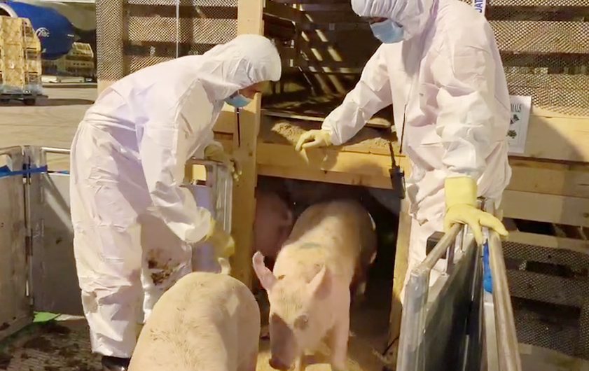 1599457948697420.png 04.png