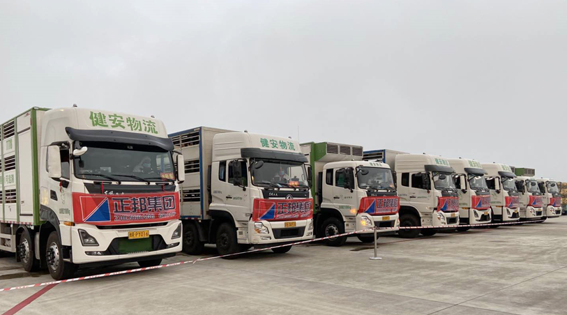 1599458130705560.png 01.png