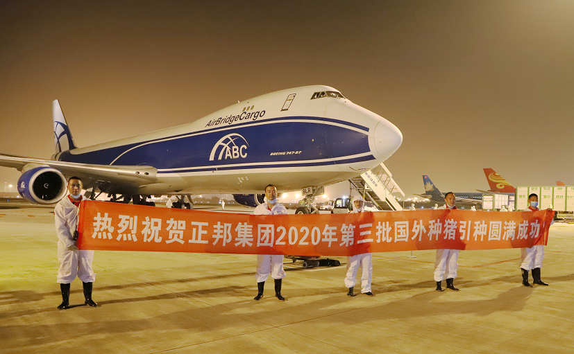 1599458140374984.png 02.png