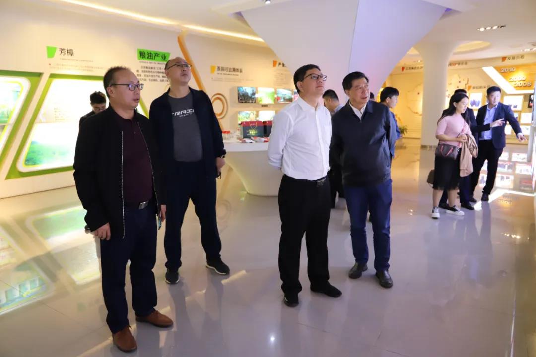 1604456046664768.jpg w02.jpg