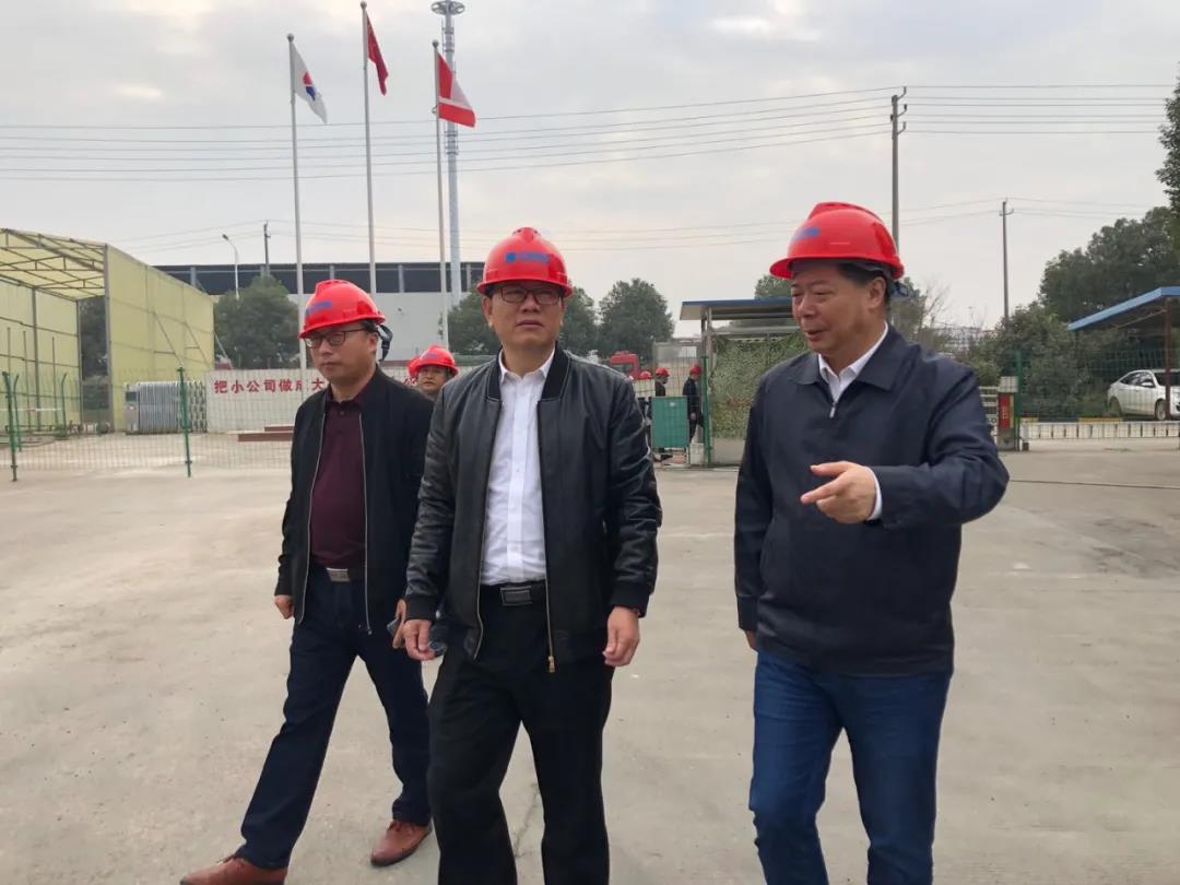 1604456069587931.jpg w03.jpg